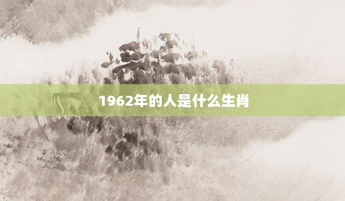 1962年的人是什么生肖