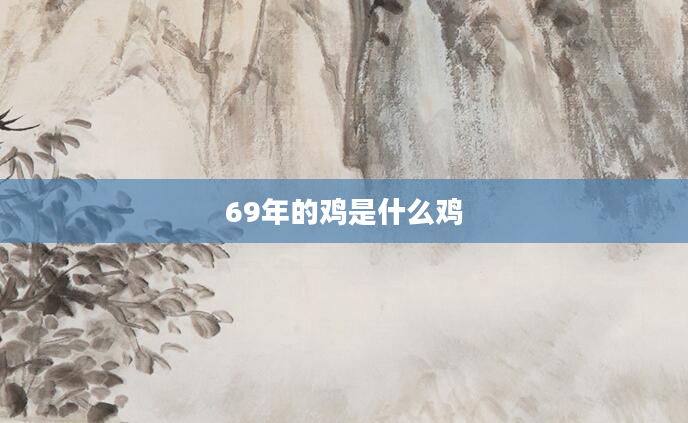 69年的鸡是什么鸡