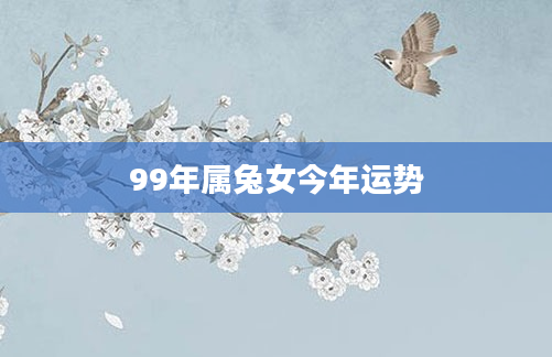 99年属兔女今年运势