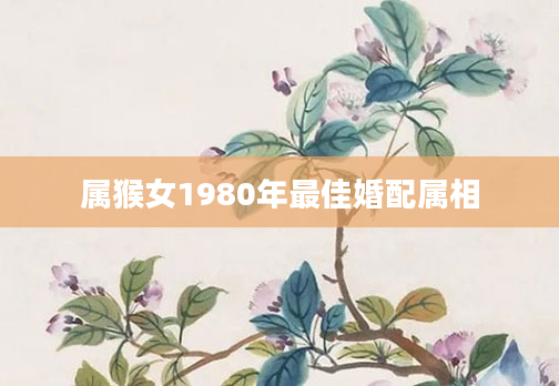 属猴女1980年最佳婚配属相