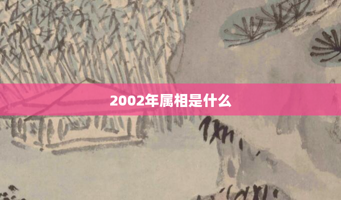 2002年属相是什么