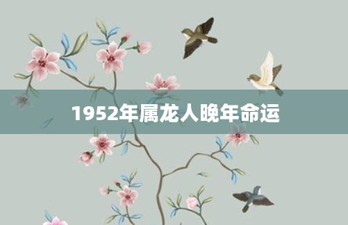 1952年属龙人晚年命运