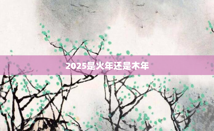2025是火年还是木年