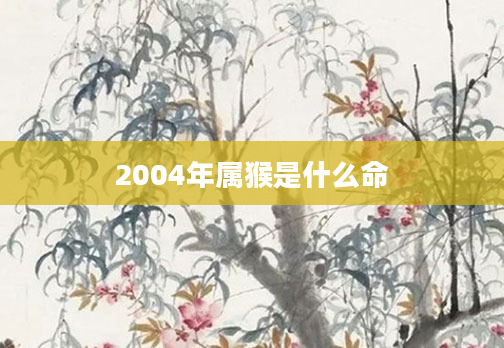 2004年属猴是什么命