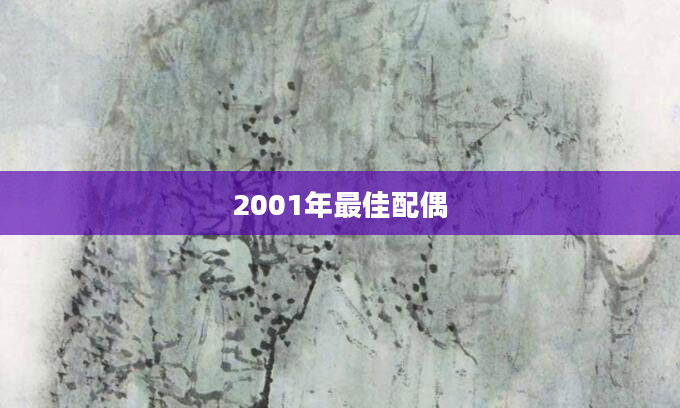 2001年最佳配偶