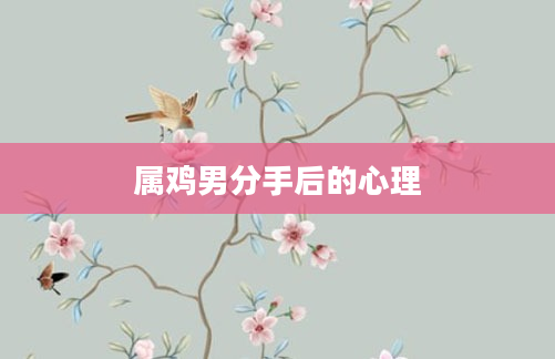 属鸡男分手后的心理