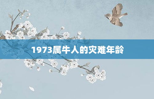 1973属牛人的灾难年龄
