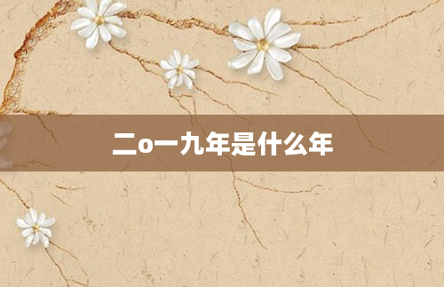 二o一九年是什么年