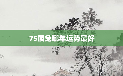 75属兔哪年运势最好