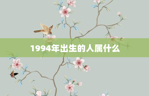 1994年出生的人属什么