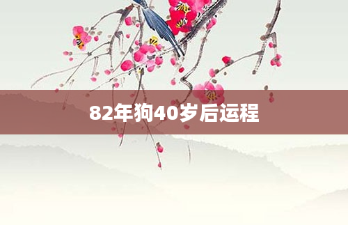 82年狗40岁后运程