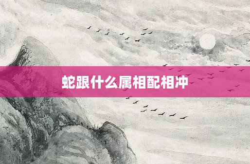 蛇跟什么属相配相冲