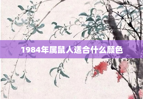 1984年属鼠人适合什么颜色
