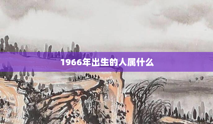 1966年出生的人属什么