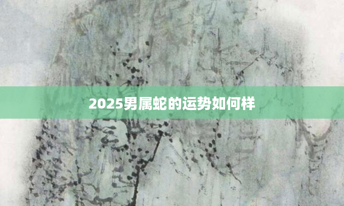 2025男属蛇的运势如何样