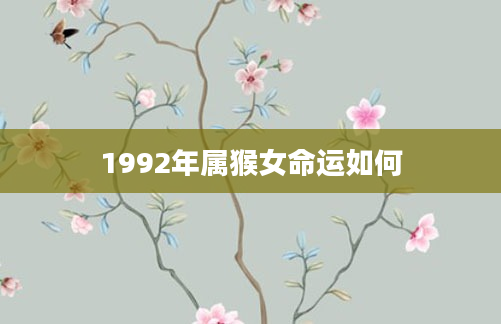 1992年属猴女命运如何