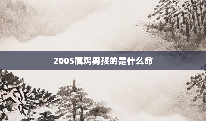 2005属鸡男孩的是什么命