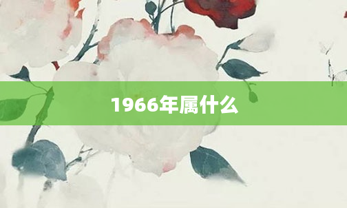 1966年属什么