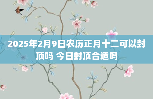 2025年2月9日农历正月十二可以封顶吗 今日封顶合适吗
