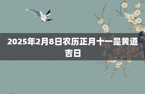 2025年2月8日农历正月十一是黄道吉日