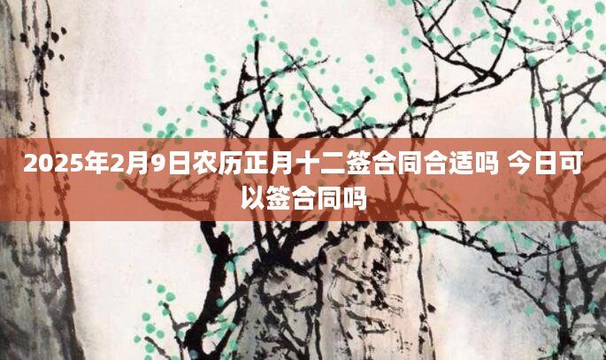 2025年2月9日农历正月十二签合同合适吗 今日可以签合同吗