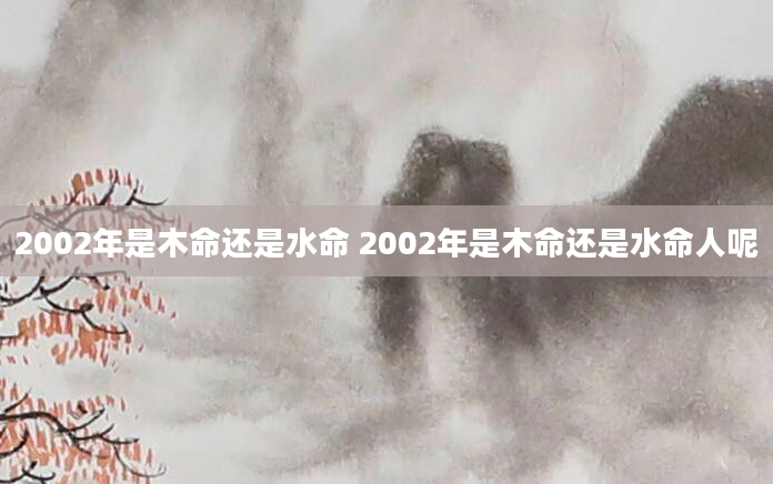 2002年是木命还是水命 2002年是木命还是水命人呢