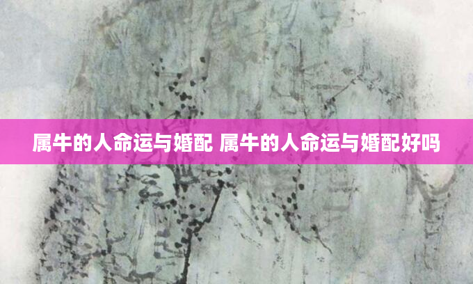 属牛的人命运与婚配 属牛的人命运与婚配好吗
