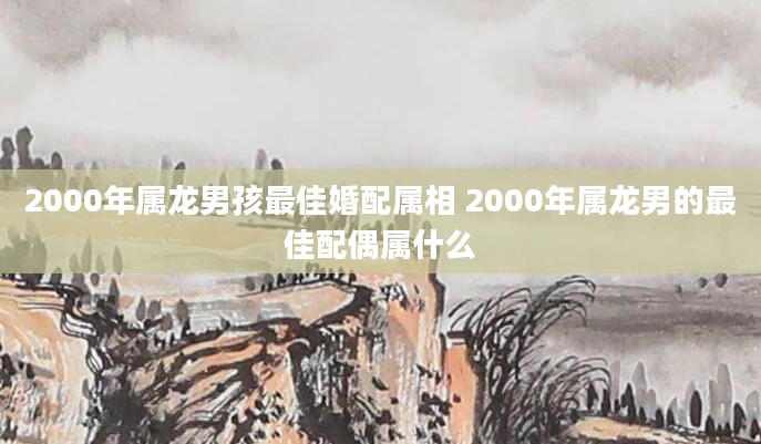 2000年属龙男孩最佳婚配属相 2000年属龙男的最佳配偶属什么