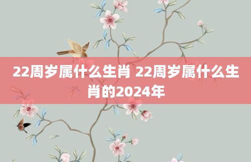 22周岁属什么生肖 22周岁属什么生肖的2024年