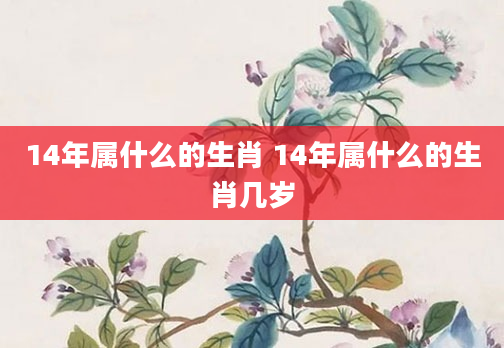 14年属什么的生肖 14年属什么的生肖几岁