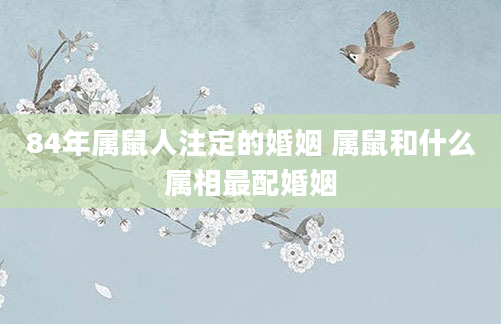 84年属鼠人注定的婚姻 属鼠和什么属相最配婚姻