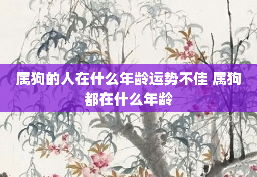 属狗的人在什么年龄运势不佳 属狗都在什么年龄