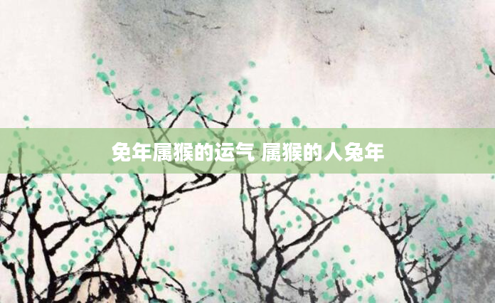 免年属猴的运气 属猴的人兔年