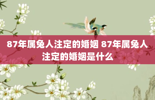 87年属兔人注定的婚姻 87年属兔人注定的婚姻是什么