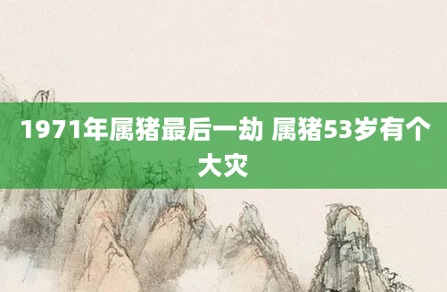 1971年属猪最后一劫 属猪53岁有个大灾