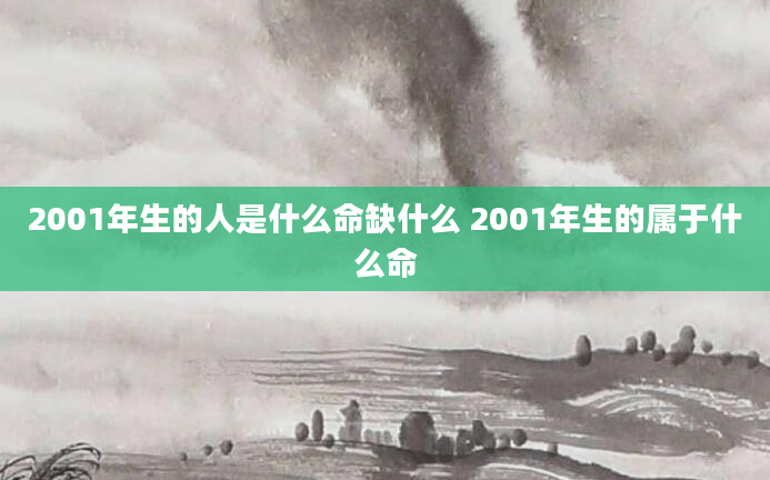 2001年生的人是什么命缺什么 2001年生的属于什么命