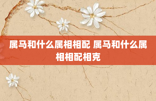 属马和什么属相相配 属马和什么属相相配相克