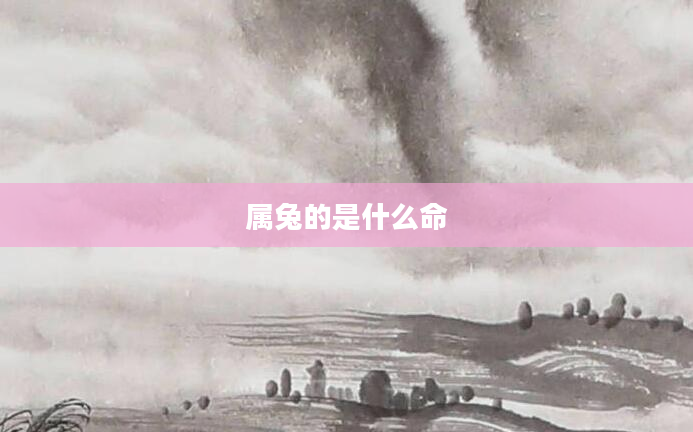 属兔的是什么命