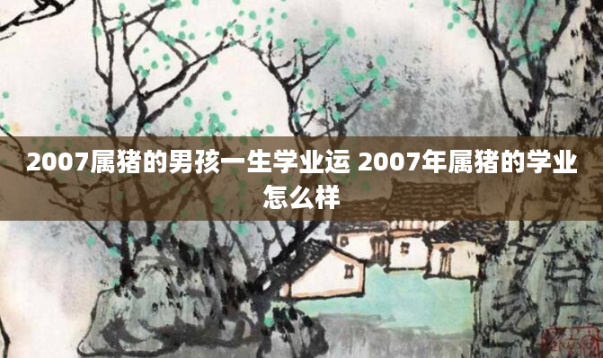 2007属猪的男孩一生学业运 2007年属猪的学业怎么样