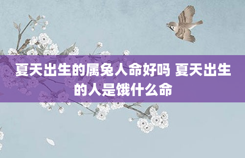 夏天出生的属兔人命好吗 夏天出生的人是饿什么命