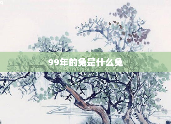 99年的兔是什么兔