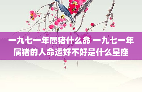 一九七一年属猪什么命 一九七一年属猪的人命运好不好是什么星座