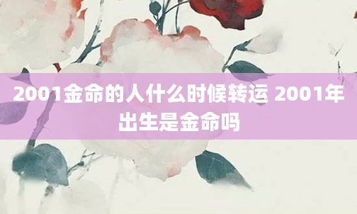 2001金命的人什么时候转运 2001年出生是金命吗