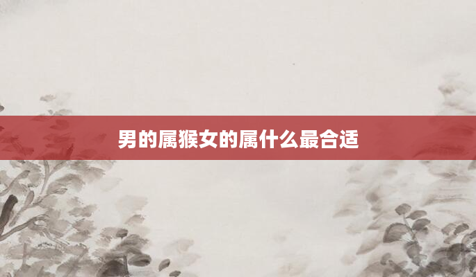 男的属猴女的属什么最合适