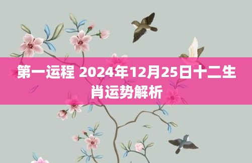第一运程 2024年12月25日十二生肖运势解析