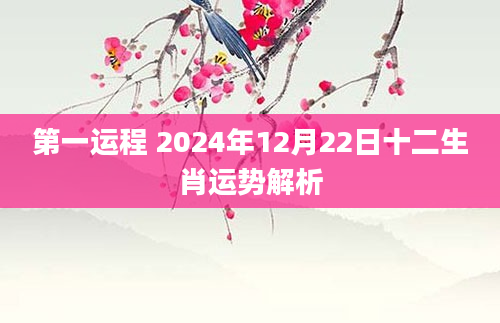 第一运程 2024年12月22日十二生肖运势解析