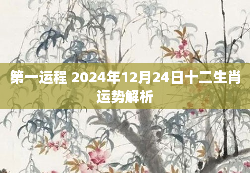 第一运程 2024年12月24日十二生肖运势解析