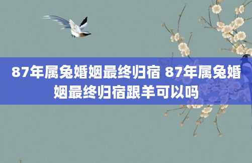 87年属兔婚姻最终归宿 87年属兔婚姻最终归宿跟羊可以吗