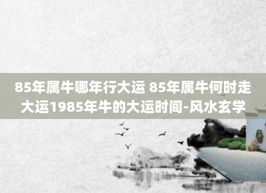 85年属牛哪年行大运 85年属牛何时走大运1985年牛的大运时间-风水玄学