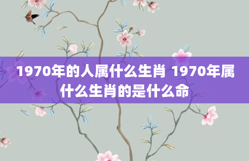 1970年的人属什么生肖 1970年属什么生肖的是什么命